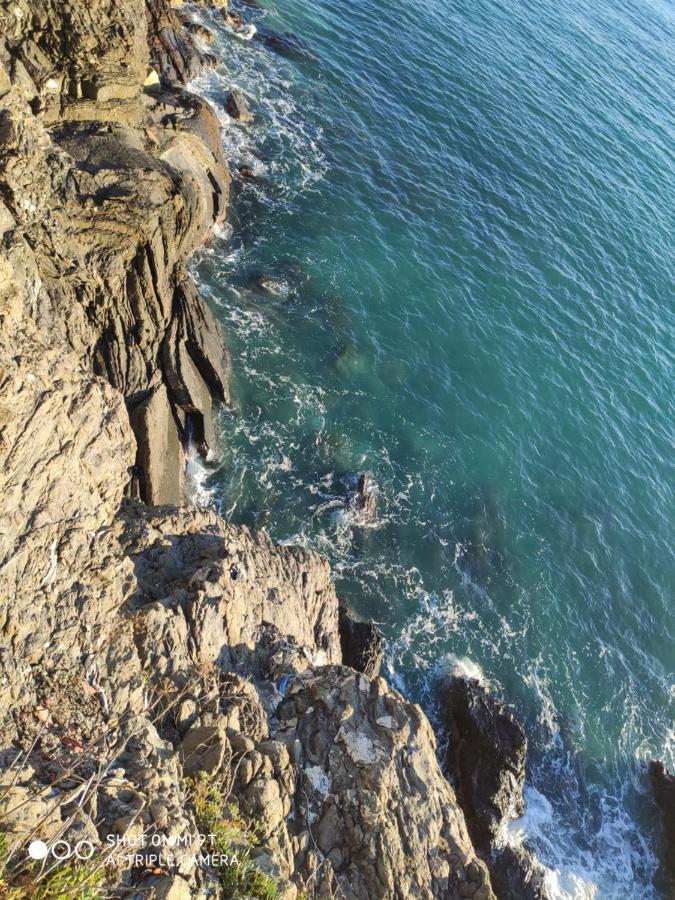 Il Balconcino Sul Carugio Apartment Monterosso al Mare Bagian luar foto